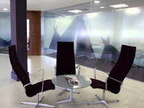 Privacy Window Film